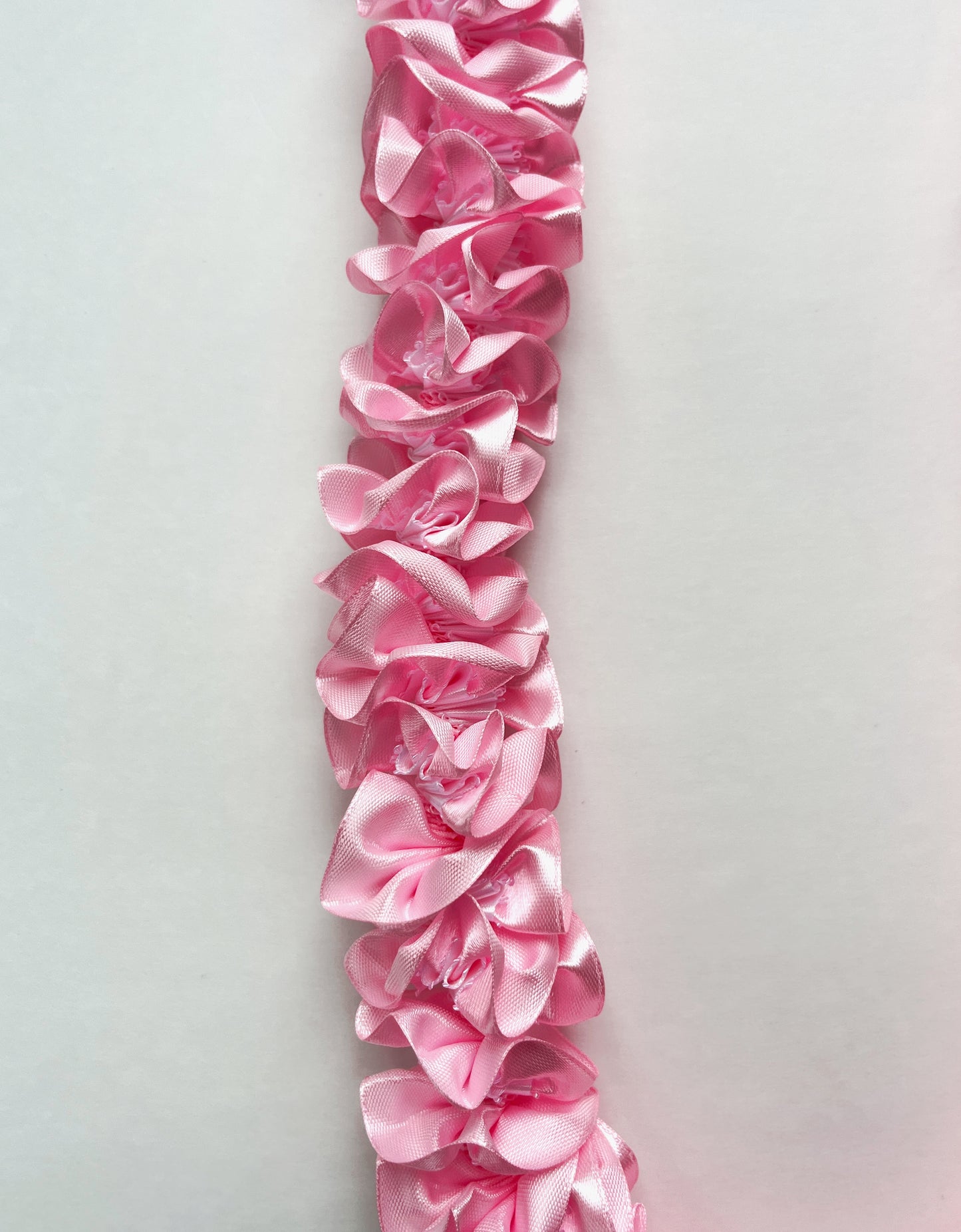 light pink and white plumeria